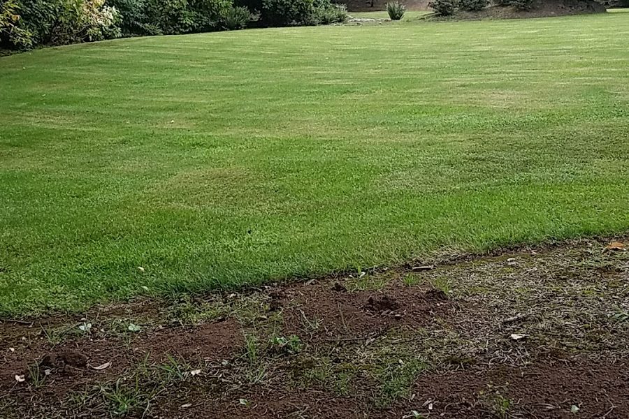 Cascade Landscape Management