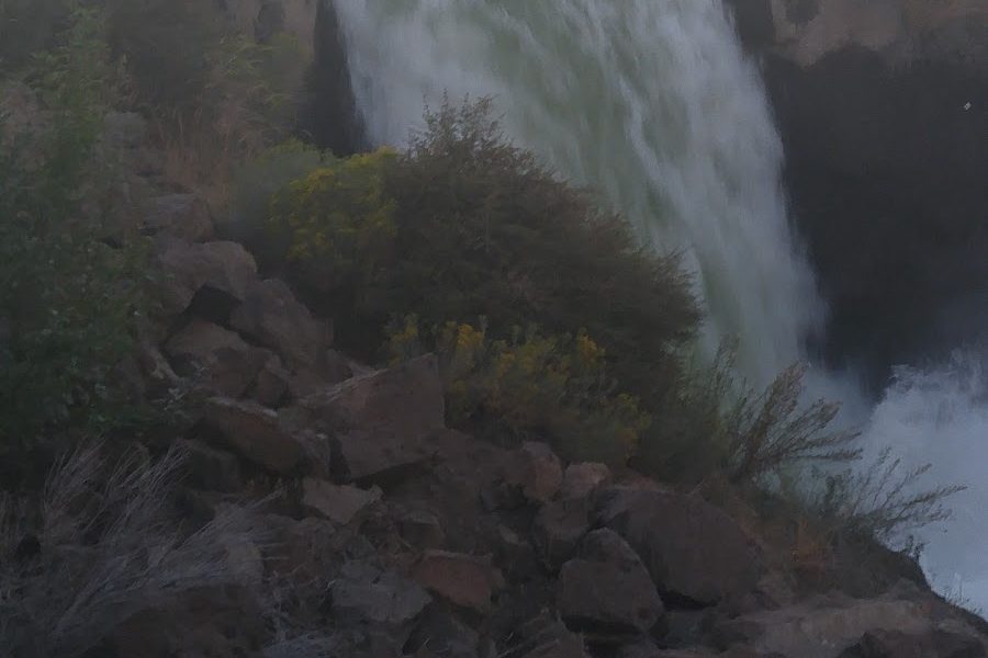 Desert Rain Landscaping, LLC