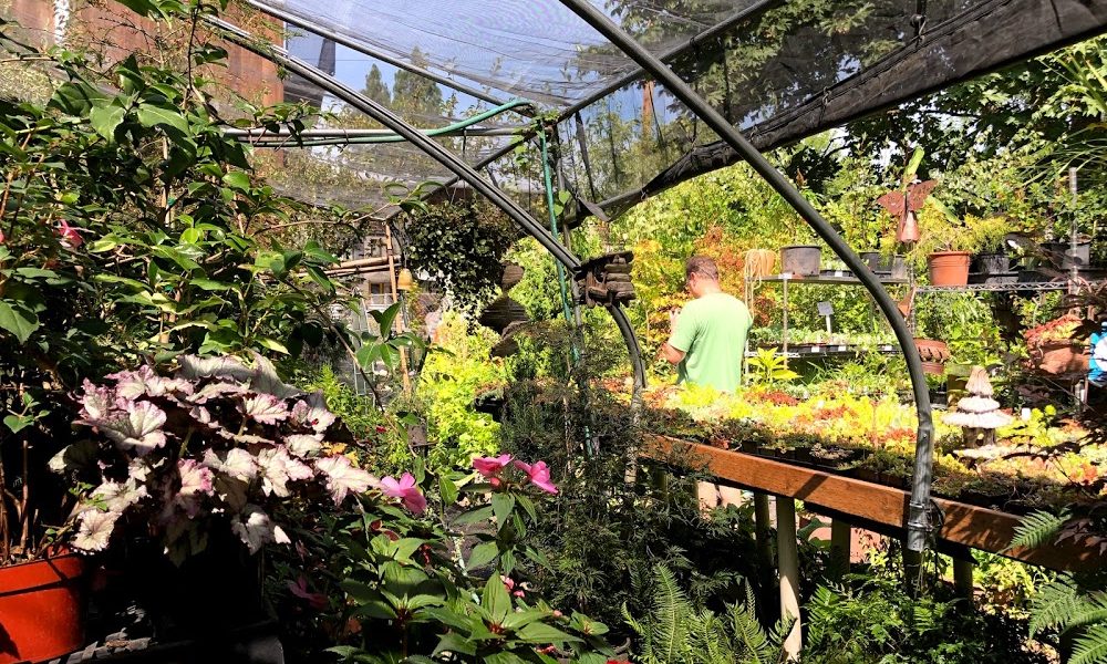 Fox Hollow Creek Nursery