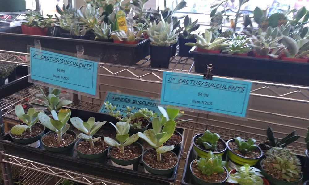 Gray’s Garden Center