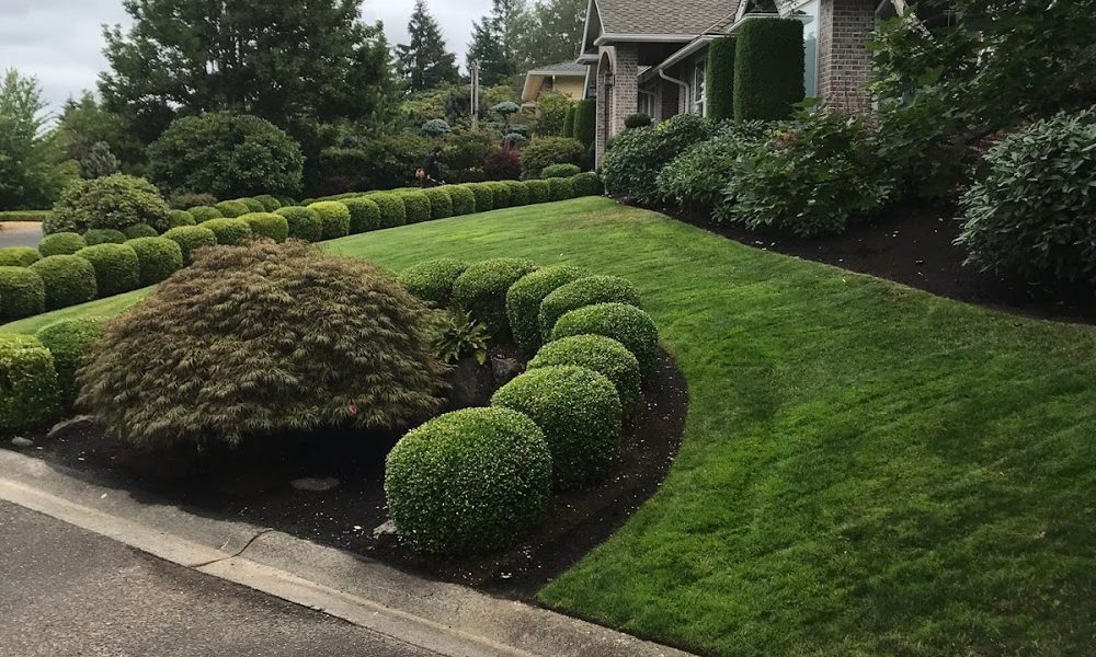 HD landscape and maintenance llc