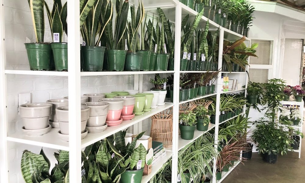 Johnson Brothers Garden Market