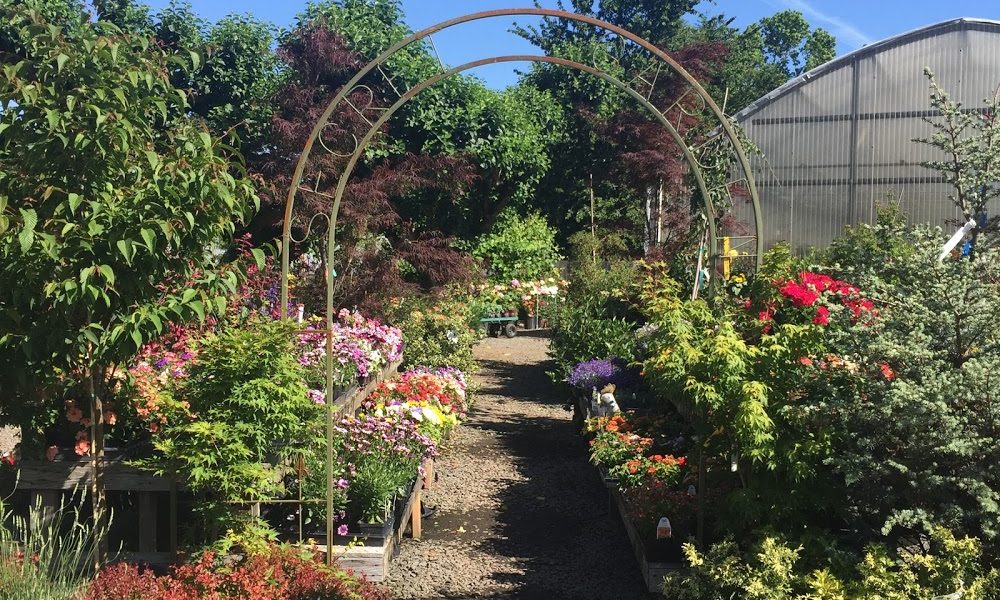 Little Red Farm Nursery