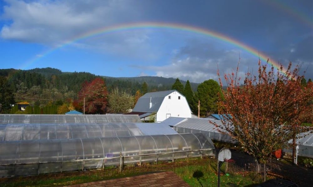 McKenzie River Nursery