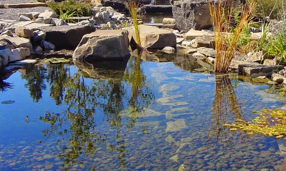 Natures Plan LLC