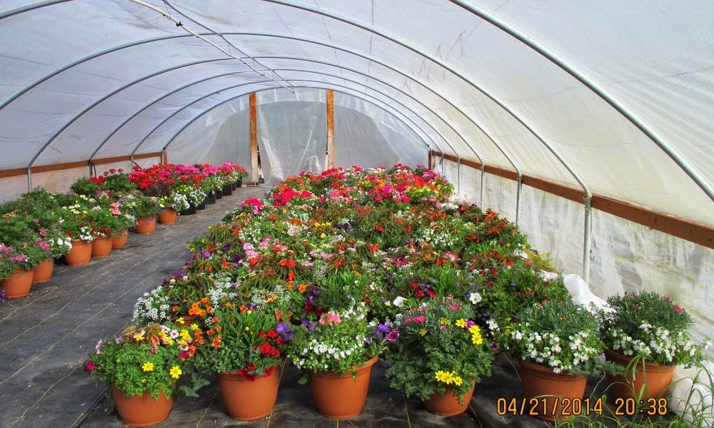 Pass Creek Nursery