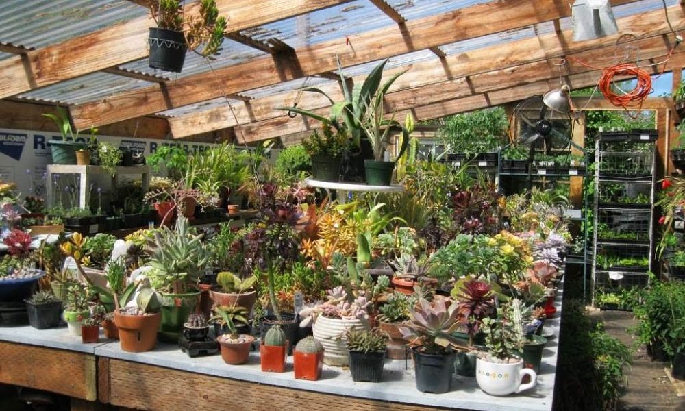 Pierce Street Gardens