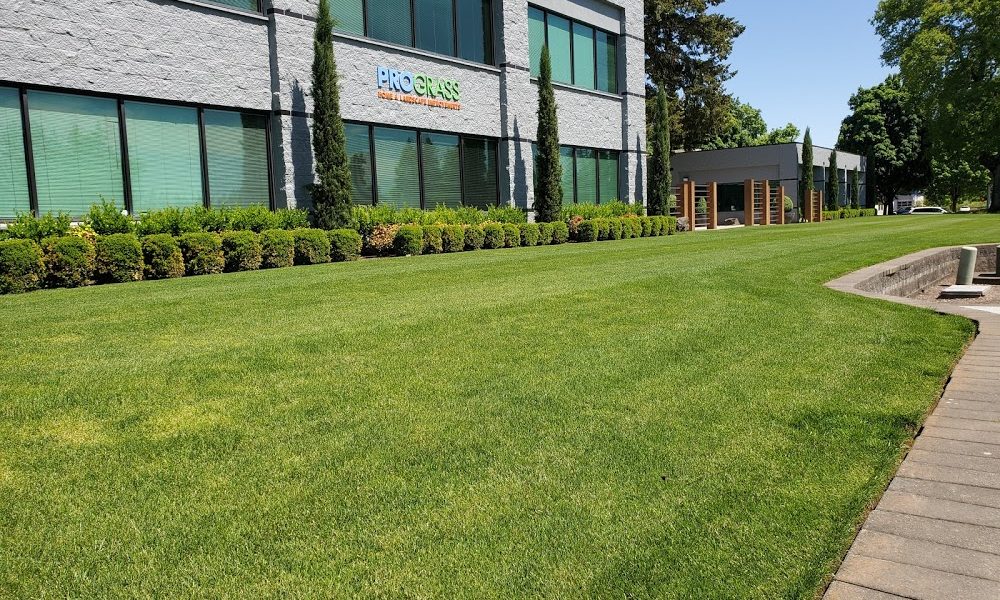 ProGrass Landscape Care & Design