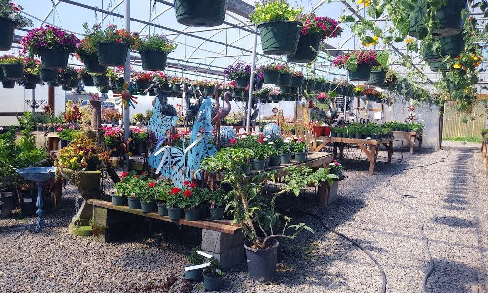Rogers Gardens