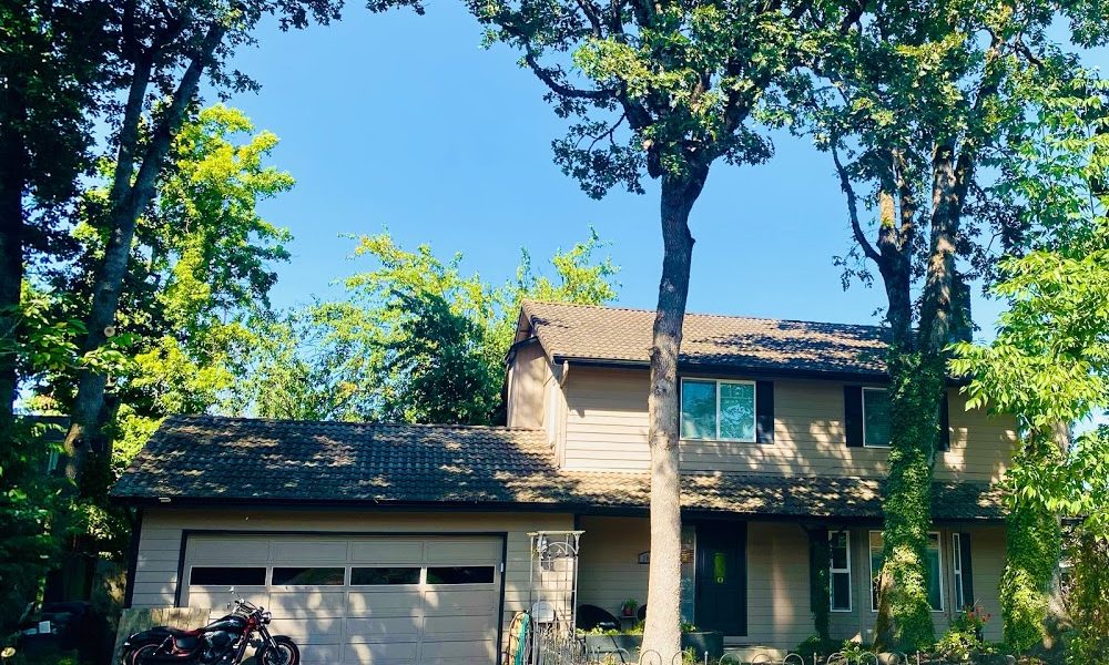 Superior Tree Service