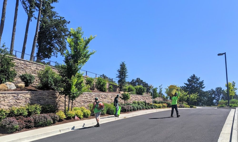 Thompson Landscape Company