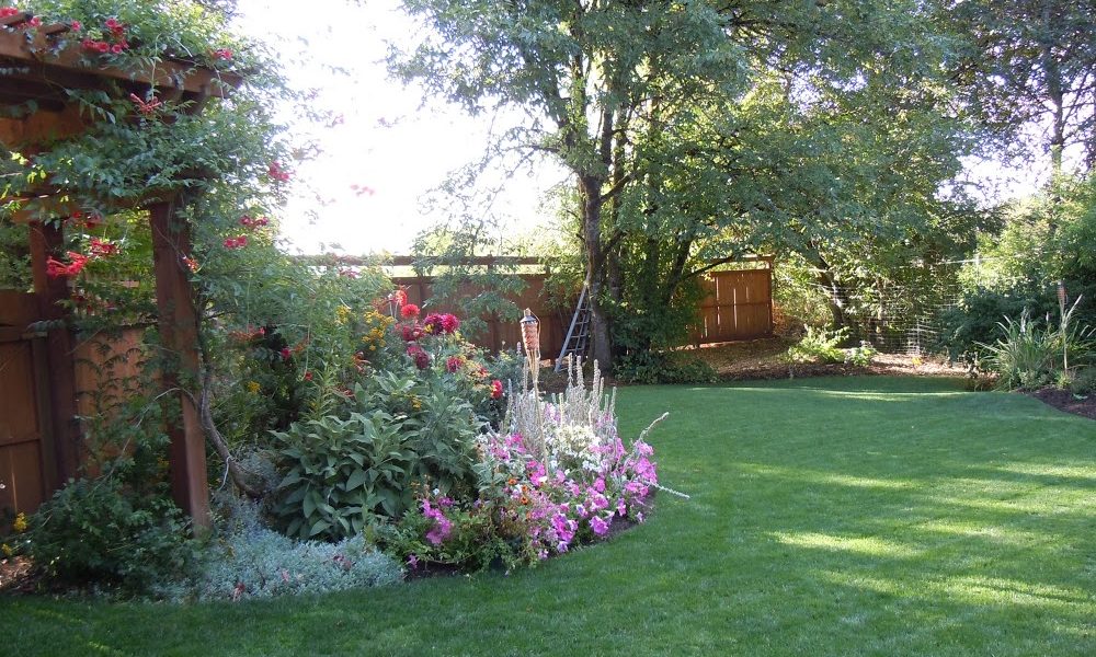Rainbow Yard Services