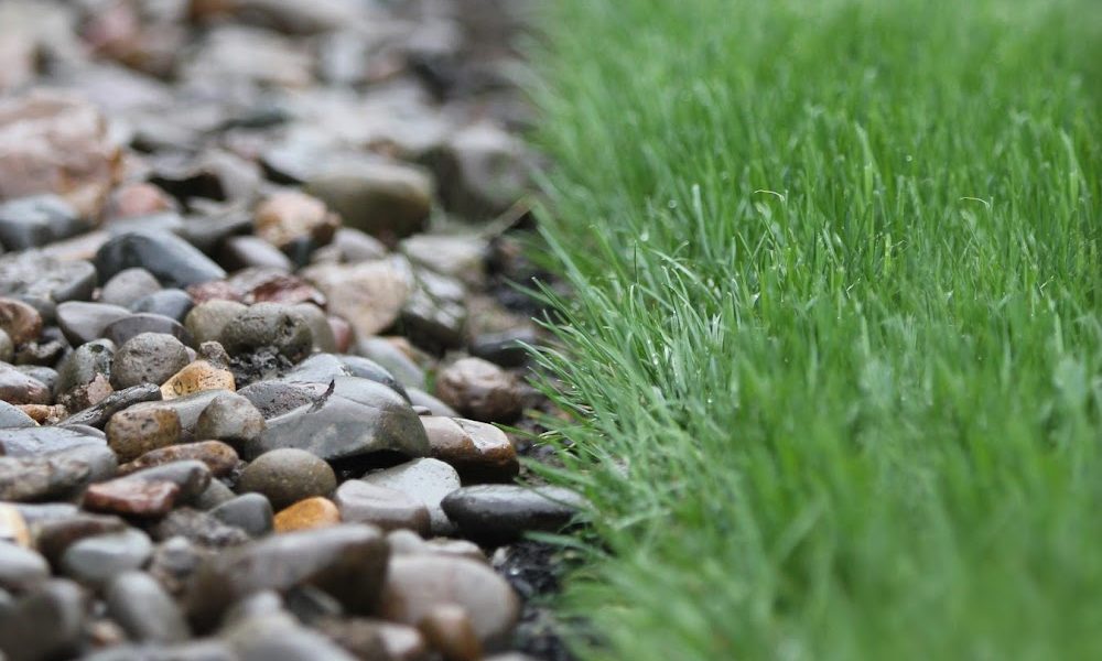 Solitude Landscaping