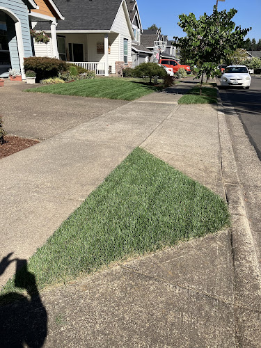 Advanced Landscape services