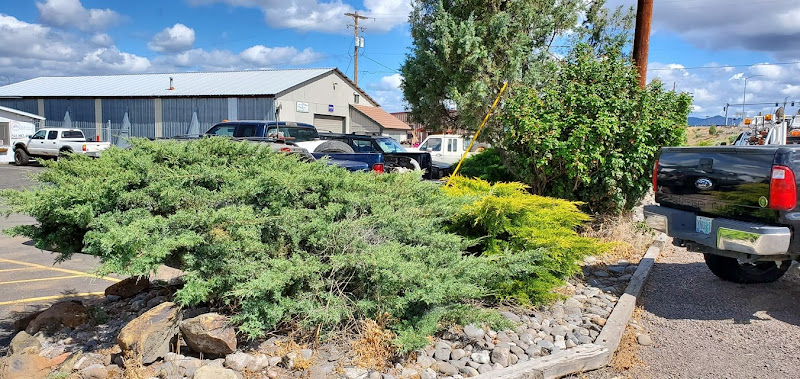 Basin Landscape Maintenance Services