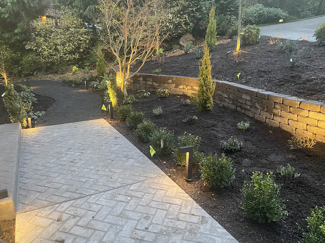 C & T LANDSCAPE MAINTENANCE CO