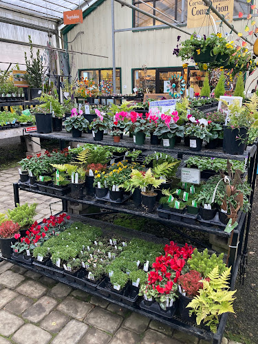 Shonnard’s Nursery, Florist, and Landscape