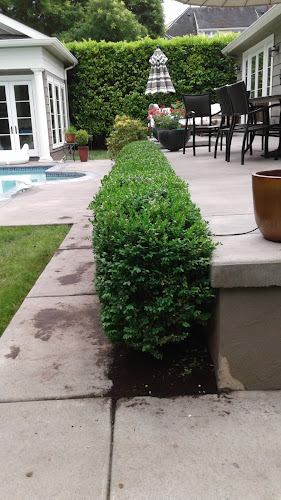 All Seasons Landscape & Tree Services LLC