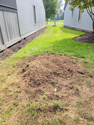 Big Bear Landscape Services LLC