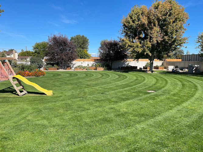 Lawn Solutions LLC