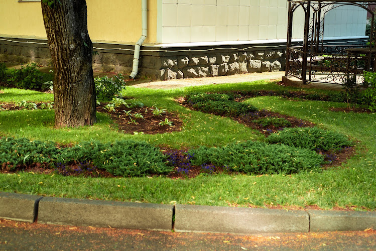 Blue Sky Landscape Care