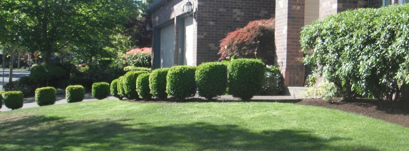 Lopez Landscaping Service
