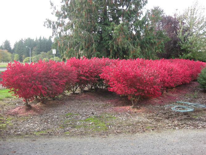 Estacada Bark & Nursery, Inc.