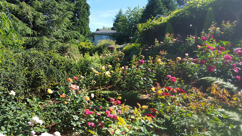 Garden Rose Consulting