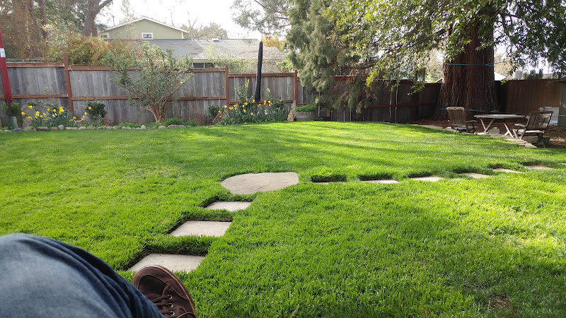 Concept-A Landscape Maintenance