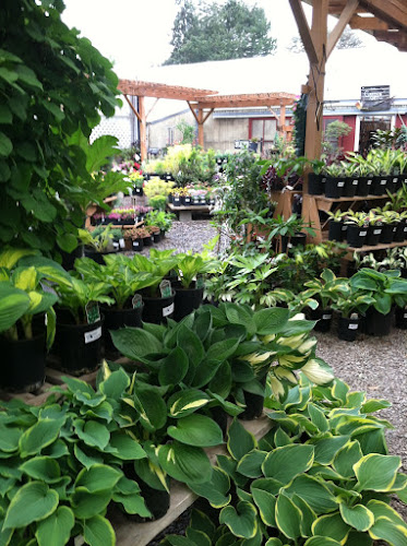 Home Grown Gardens Nursery and Landscape