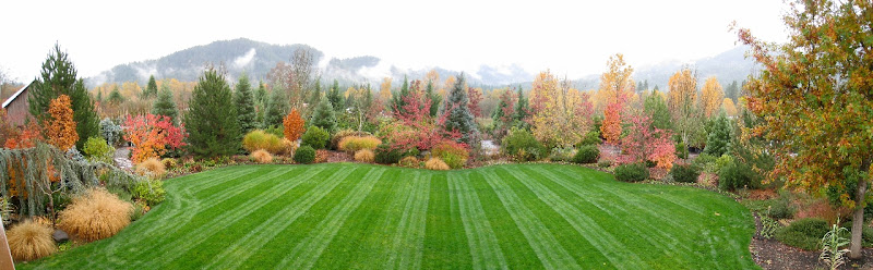 Mountain View Landscaping