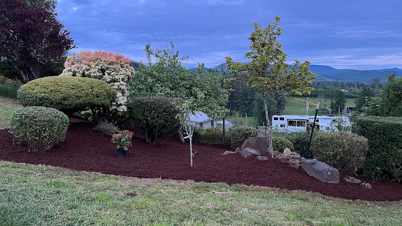 Alejo’s Construction & Landscape LLC