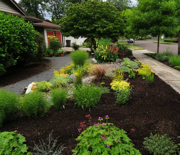 Green Seed Gardens
