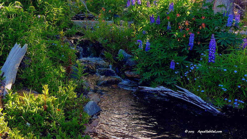 Ponds by Biologists