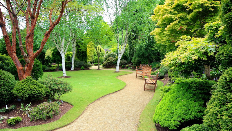 Sunrise Lawn Care LLC