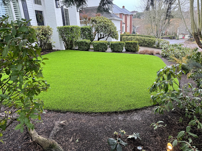 Nueva Vista Landscape & Construction LLC