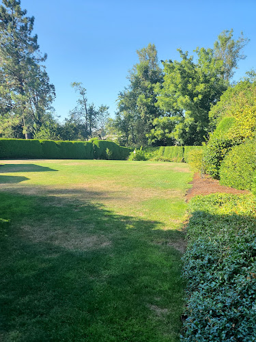 Silva’s lawn care llc