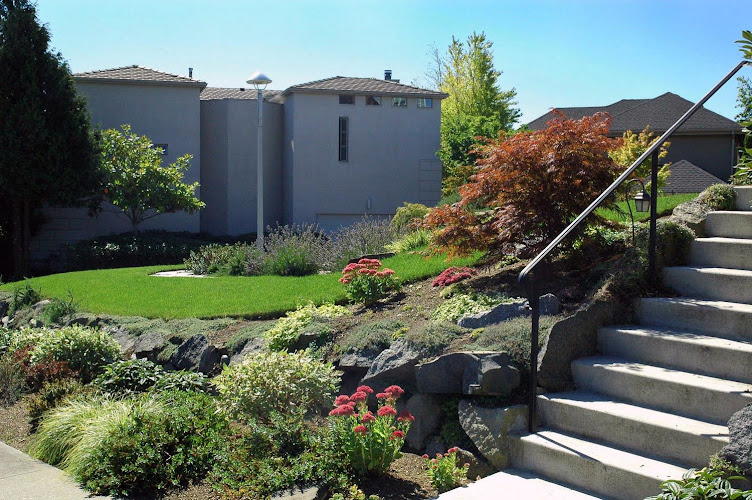 OASIS LANDSCAPE
