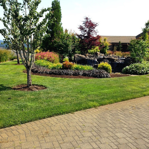 Rain or Shine Landscape Inc