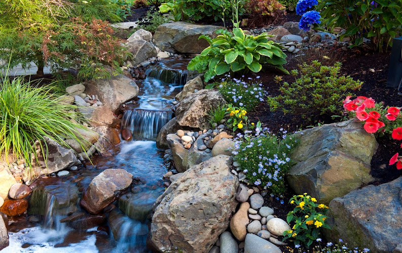 Oregon Landscape