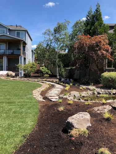 Dry Oak, Inc