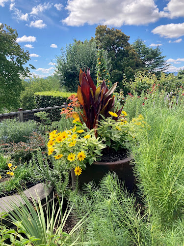 Folk and Flora