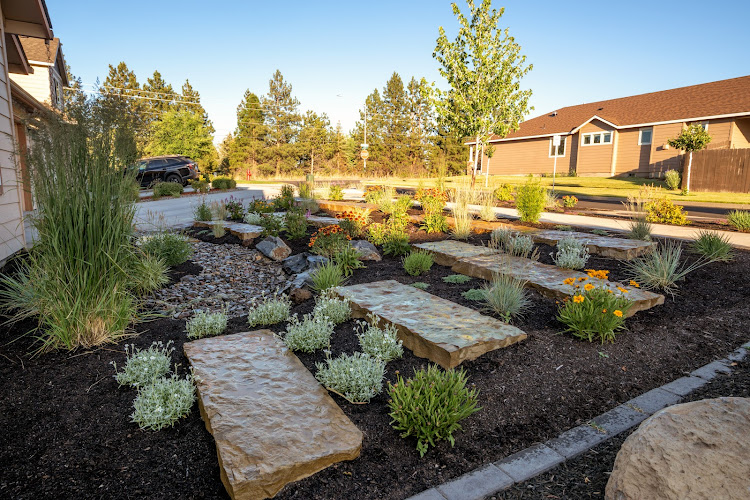 Newport Avenue Landscaping