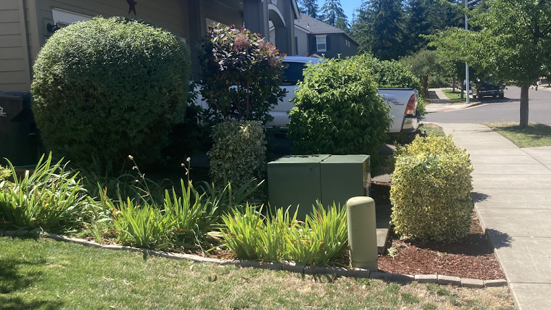 Smooth Green Yard Services LLC