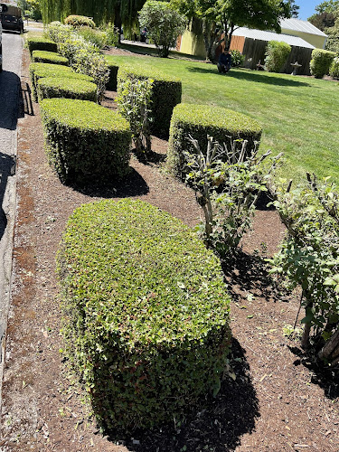Green Scene Landcape Llc