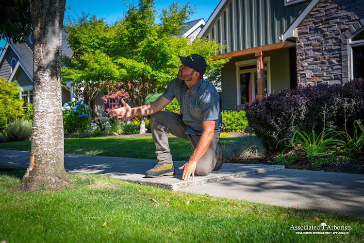 Associated Arborists