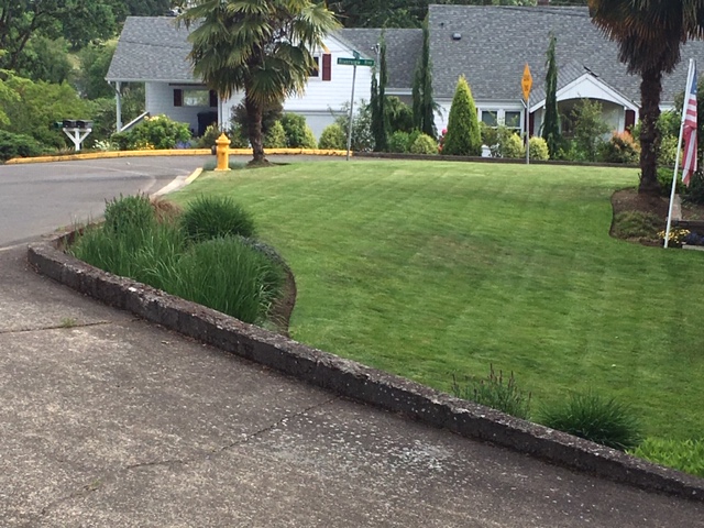 Arlo’s Lawncare