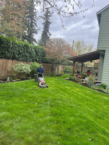 Alonso Landscape Services