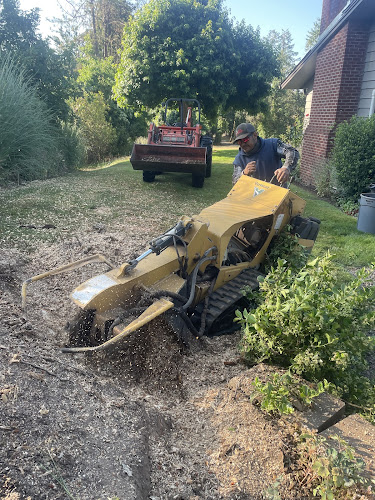 Jacintos Tree Service LLC