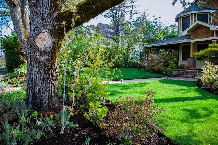 GrassRoots Landscape Company